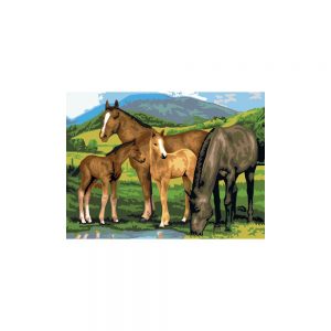 Royal & Langnickel Painting by Numbers Horses and Foals