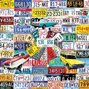 Rompecabezas White Moutain de 550 Piezas State Plate